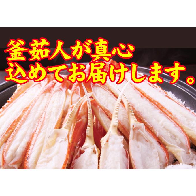 松葉ガニ  松葉がに 訳あり １枚 500-600g前後 ズワイガニ 訳あり カニ 蟹（松葉がに 松葉蟹）鳥取産 送料無料