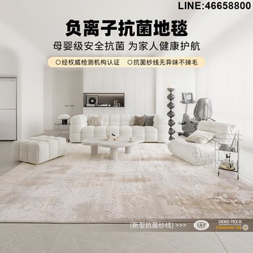免運 開立發票 地毯 毛毯 輕奢風家用地毯客廳耐臟易打理加厚茶幾毯臥室抗菌床邊毯不掉毛