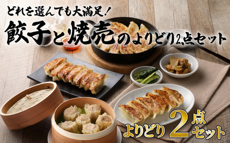 どれを選んでも大満足！ 餃子 と 焼売 のよりどり2点 セット　K033-005 中華 惣菜 総菜 レトルト 冷凍食品 加工食品 選べる