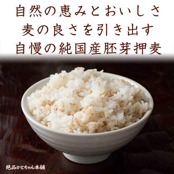 雑穀 雑穀米 国産 胚芽押麦 4.5kg(450g×10袋) 送料無料 特別製法 最高級押麦 大麦 ダイエット食品 置き換えダイエット 雑穀米本舗 ＼セール／