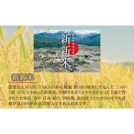 ふるさと納税 南魚沼産コシヒカリふるさと八海山の農家直販（５kg×全６回） 新潟県南魚沼市