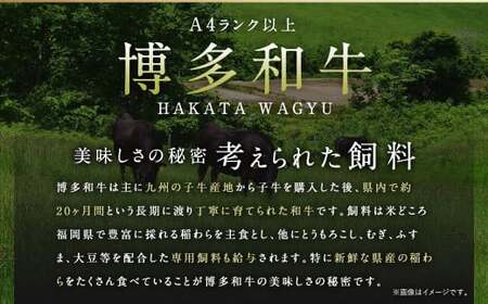 佐賀牛 ＆ 博多和牛 切り落とし 1.2kg (600g×2P) 肉 牛肉 国産 冷凍 バラ 肩