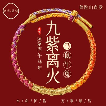 紫南宮過爐開光🙏🏻本命年紅手繩手鍊 手鍊 紅繩 屬虎猴豬手工編織護身符 九紫離貨招財轉運平安 禮物男女