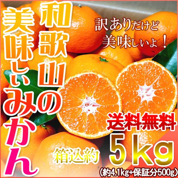 みかん 5kg（箱込約5kg） 和歌山県産 訳あり・ご家庭用 送料無料（東北・北海道・沖縄県除く）