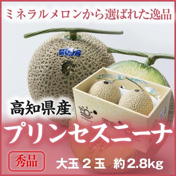 お歳暮 メロン プリンセスニーナ 秀品 1.4kg×２玉 アールスメロン 高知県産 JA高知県 ギフト