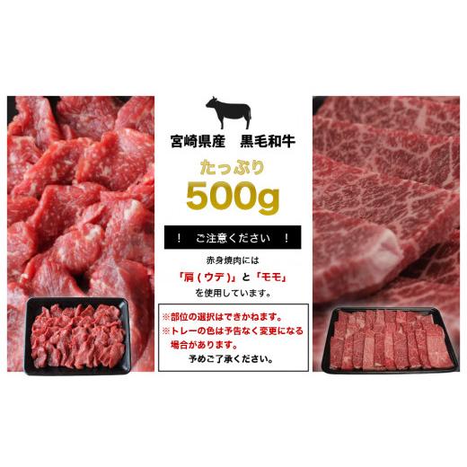 ふるさと納税 宮崎県 美郷町 宮崎県産 黒毛和牛 赤身 焼肉 500g トレイ包装 牛肉 ウデ モモ 焼肉 冷凍 九州産 送料無料 BBQ バーベキュー