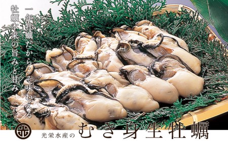 牡蠣 坂越かき 剥き牡蠣 500g×2[ 生牡蠣 かき カキ むき身 剥き身 生食 冬牡蠣