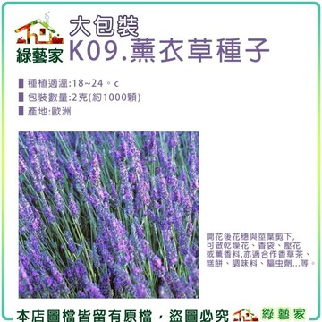 【綠藝家】大包裝K09.薰衣草種子2克(約1000顆)(狹葉)