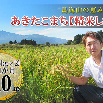 10kg（5kg×2袋）×11ヶ月 鳥海山の恵み 農家直送！ あきたこまち［精米 したて！］