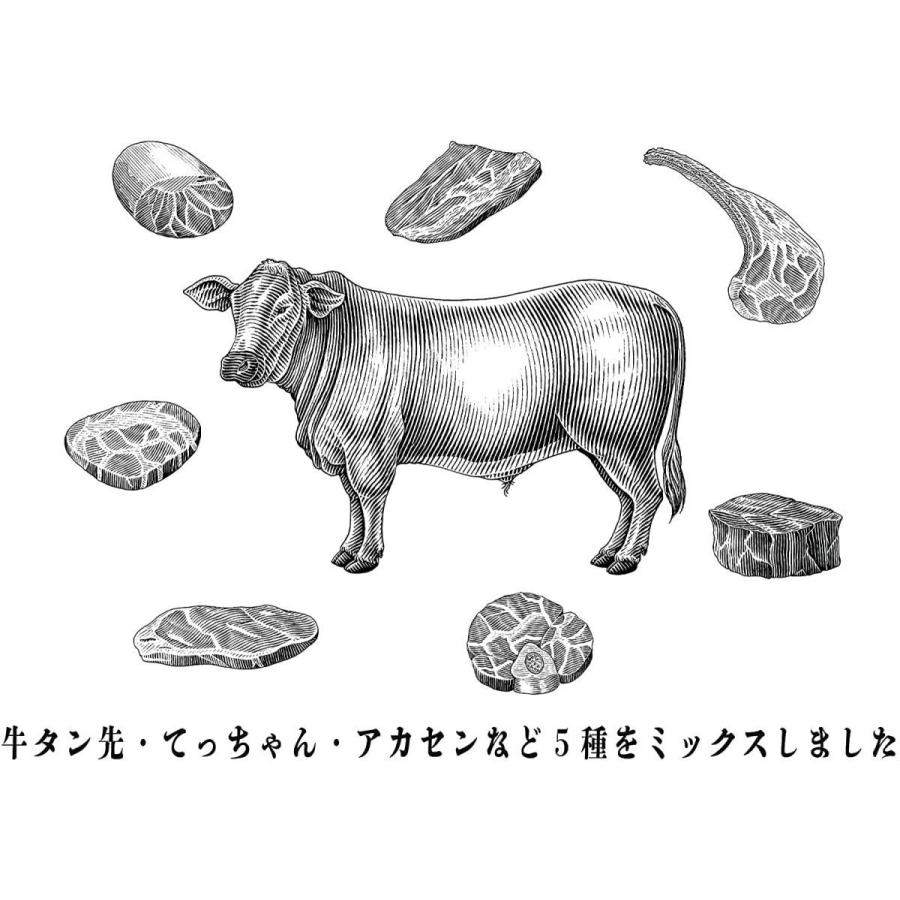 ホルモン ガッツリ濃いめの焼き肉風味 牛ホル ホルモンミックス ２kg 200g x １０パック) お徳用パック ホルモン 牛肉 焼き肉