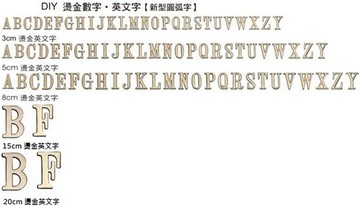 【文具通】新型 圓弧 立體 燙金 門牌 標示牌 英文 英文貼 英文牌 可貼 約3cm 5cm 8cm 15cm 20cm 適用 飯店 民宿 餐飲 小吃 A~Z 另有數字 AA011254【APP滿額下單10%點數(單一帳號最高5000點)】1/31止
