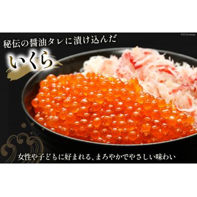 ふるさと納税 気仙沼市 ます いくら 200g×2p 計400g 気仙沼加工 [カネダイ 20562900]