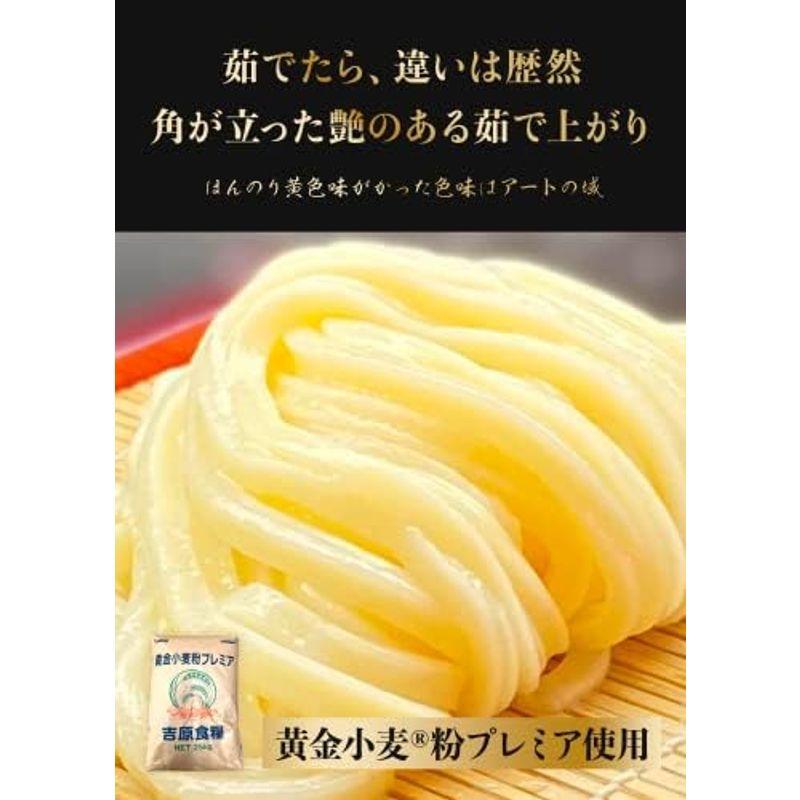 香川 本格手打 もり家 本生 うどん 黄金プレミア デラックス 10人前（つゆ3種類付き）年間15万人が訪れる香川屈指の人気店 讃岐うどん