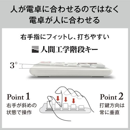 カシオ計算機 人間工学電卓 DE-12D-WE-N