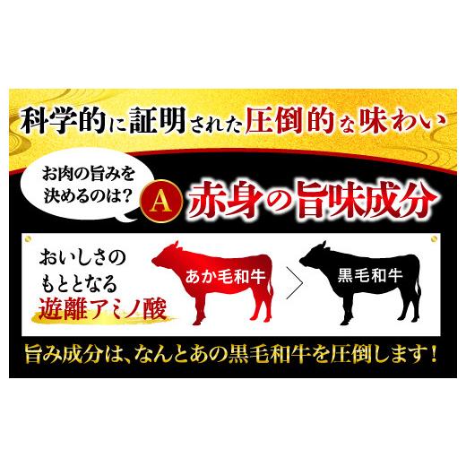 ふるさと納税 熊本県 人吉市 熊本県産 あか牛 モモステーキ 合計500g(250g×2パック) 和牛 牛肉