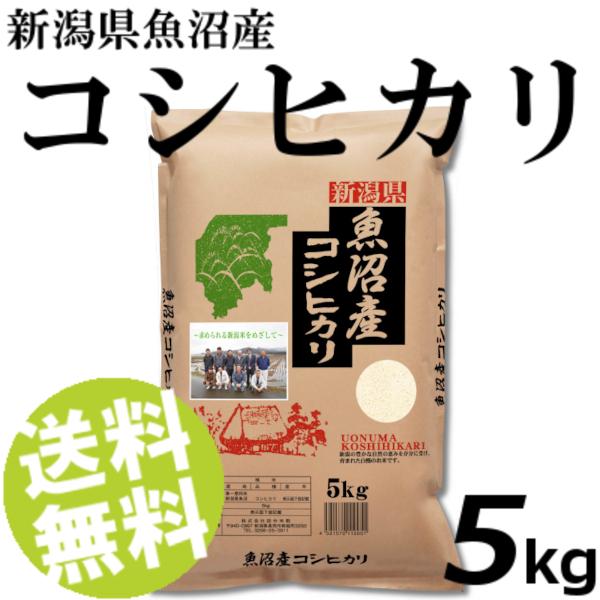 お米 5kg 白米 コシヒカリ 魚沼産 精白米 送料無料 贈答品 お取り寄せ