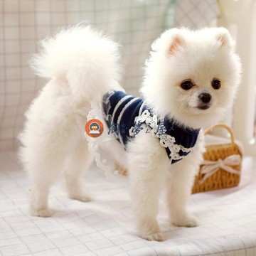 狗狗連身裙子寵物夏季薄款休閒公主裝衣服泰迪比熊博美雪納瑞【淘夢屋】