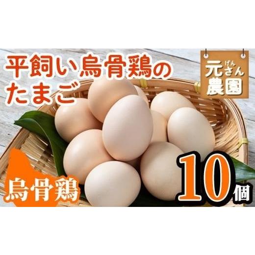 ふるさと納税 大分県 佐伯市 平飼い烏骨鶏のたまご (計10個) 元さん農園