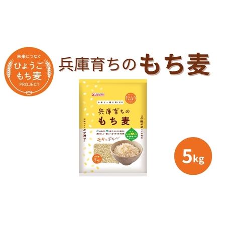 ふるさと納税 兵庫育ちの もち麦 5kg 兵庫県加東市