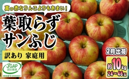 2月発送家庭用 葉取らず サンふじ 約10kg