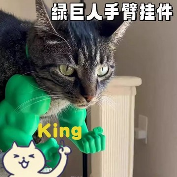 【臺灣出貨】貓浩克手臂 寵物拍照道具 貓咪搞怪飾品 掛脖變裝配件 3D 列印浩克肌肉貓咪掛脖手臂 惡搞整蠱寵物變裝玩具