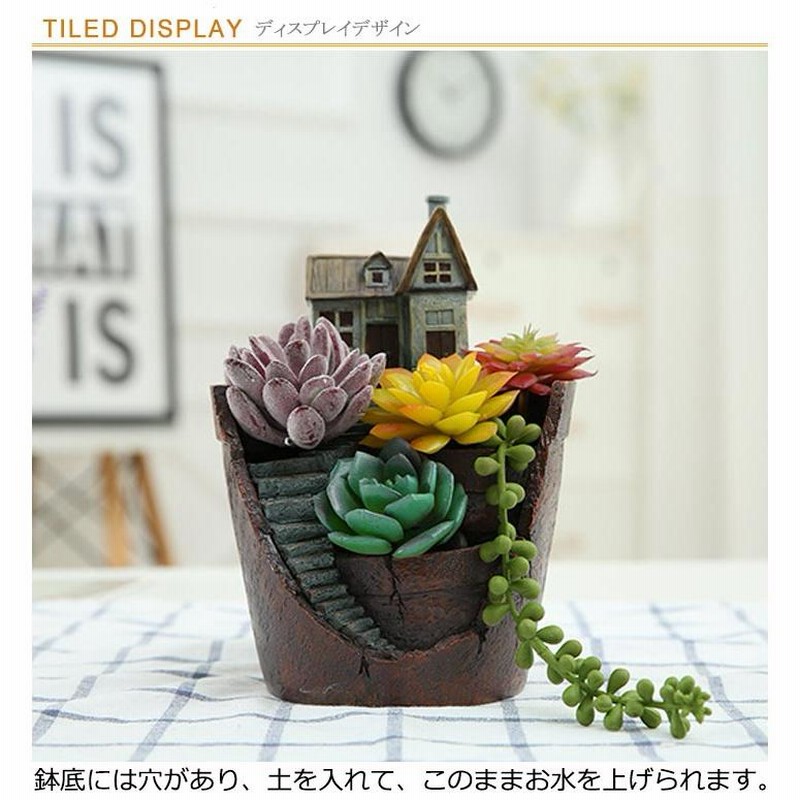寄せ植え 花_NO.303 （PHENOFICE 1個 多肉質 ホーム 装飾 ホーム