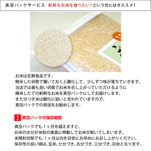 はなえちぜん 白米 5kg×2袋×6回 6ヶ月連続 定期便 60kg 真空パック ハナエチゼン 米 簡易梱包 エコ梱包