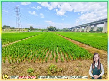 官田青翠美景都內農地｜台南市官田區官中段