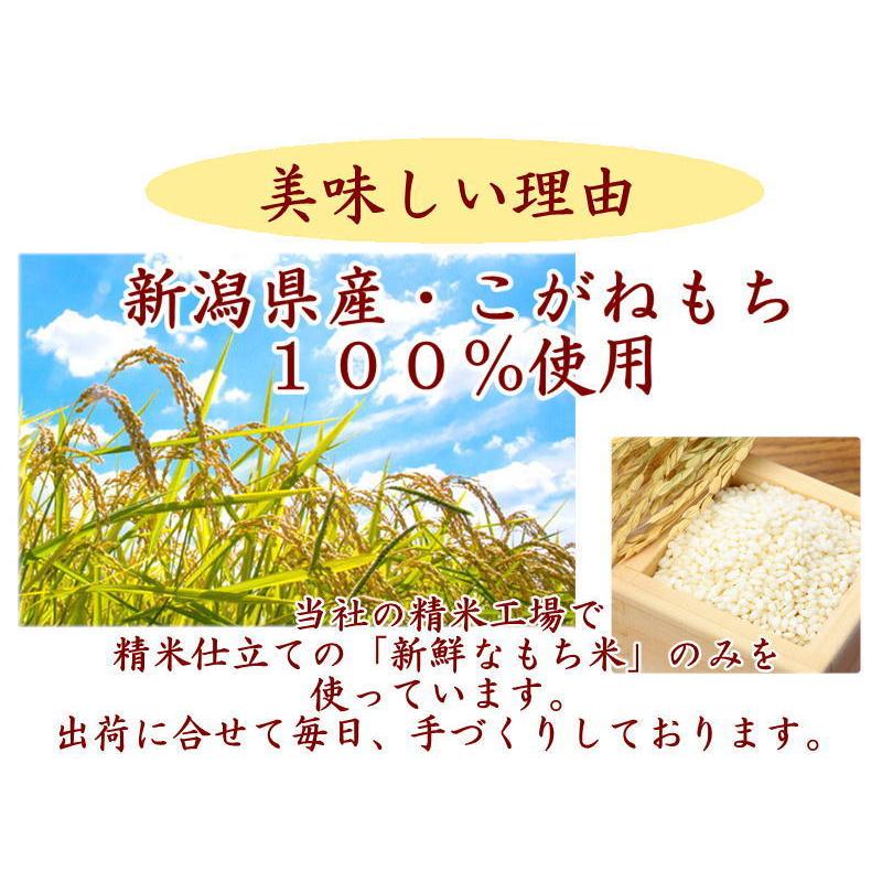 のし餅 通販 切り餅 送料無料 新潟産こがねもち のし餅2枚分（９個入×8袋) 無添加 真空パックでお届け のし餅を切りました