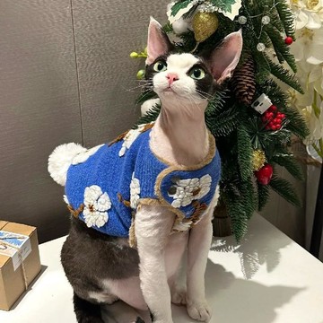 💕在臺出貨🔥夾棉羊羔絨馬甲無毛貓衣服德文衣服斯芬克斯貓