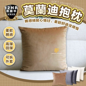 【生活小物】莫蘭迪抱枕 抱枕 靠枕 枕頭 素色抱枕 北歐抱枕 可拆洗抱枕 沙發枕頭 荷蘭絨抱枕 小枕頭