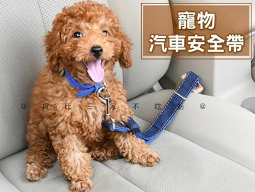 @貨比三家不吃虧@寵物汽車安全帶 寵物汽車安全繩 寵物安全 防暴衝牽繩 寵物兜風 牛仔布 開車必備 防狗跳車 寵物配件