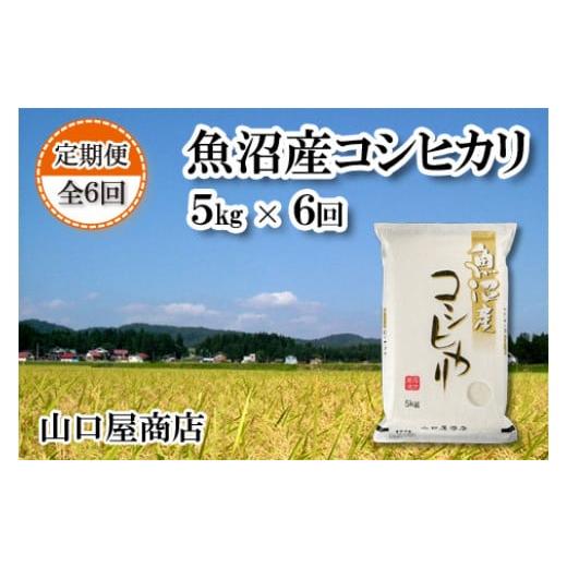 ふるさと納税 新潟県 十日町市 ★令和5年産★魚沼産コシヒカリ 5kg