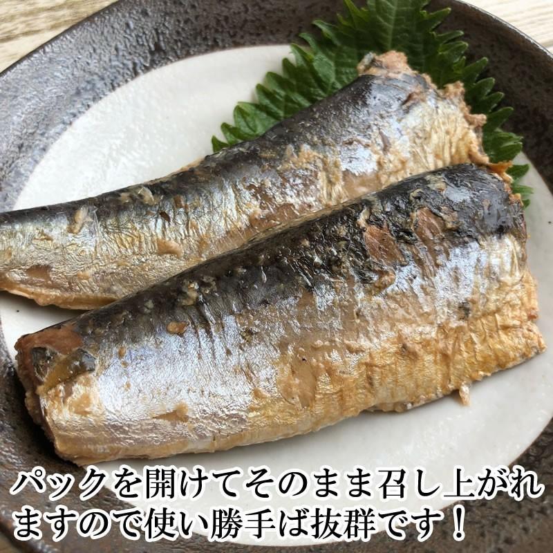 いわし 水煮 無添加 国産 480g 訳あり メール便 送料無料 [いわし水煮120g×4袋 BS] ネコポス 即送