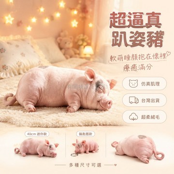 台灣出貨✨ 仿真豬 絨毛玩具 大抱枕 60cm 40cm 兒童禮物 女生 生日 玩偶 公仔
