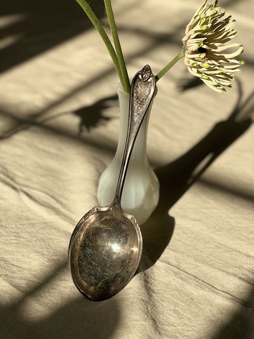 Vintage 1940年美國製Rogers Bros鍍銀大湯匙