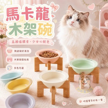 💗馬卡龍木架碗💗 貓碗 寵物碗 貓咪碗 寵物碗架 寵物陶瓷碗 貓碗架 貓咪飼料碗 貓咪碗架 貓用品 護頸碗 寵物碗架貓