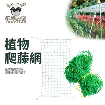 🔥高雄大量現貨 可塑性強🔥植物爬藤網 栽培網 棚架網園藝網 搭架網 植物爬藤繩 牽牛花攀援 花卉爬藤網 攀藤網 百香果網