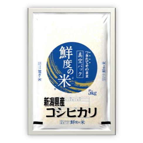 新潟県産　コシヒカリ　令和5年産　無洗米　備蓄米　　5kg 真空パック　送料無料（本州のみ）