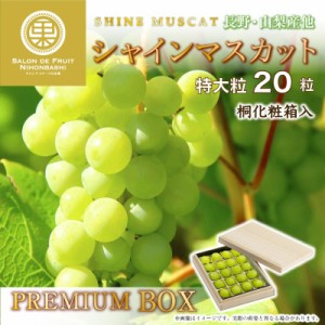[最短順次発送]  シャインマスカット 20粒 4L 5L サイズ 桐箱 ジュエルボックス 長野 山梨県産 高糖度 夏ギフト 夏ギフト お中元 御中元