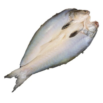 海肉管家 台灣午仔魚一夜干XL號(共3尾_每尾約260-300g)