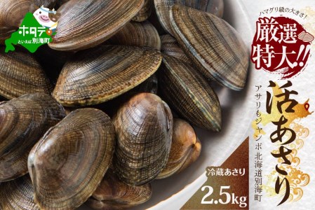 北海道 野付産 大粒 天然 活あさり 2kg（be004-0762） （ 北海道 別海町 野付 あさり アサリ 貝  天然 活あさり 人気 ふるさと納税 ）