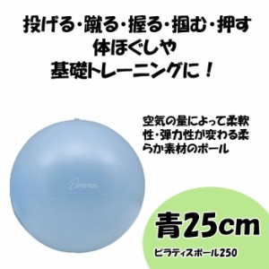 ピラティスボール250 青 トーエイライト トレッチ リハビリ 運動 高齢者 便利 コンパクト プレゼント 贈り物 通販 Lineポイント最大1 0 Get Lineショッピング