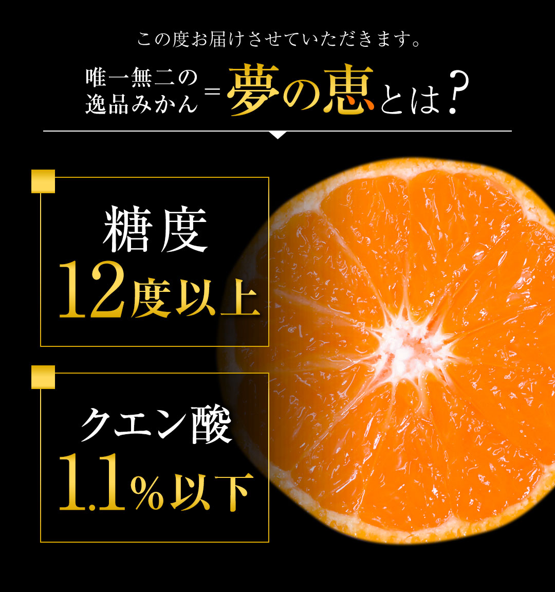 夢の恵 みかん 2.5kg前後(20玉〜30玉前後) 糖度12度以上 ブランド みかん ブランド 贈答用 糖度 12度 以上 熨斗 7-14営業日以内に発送予定(土日祝日除く)