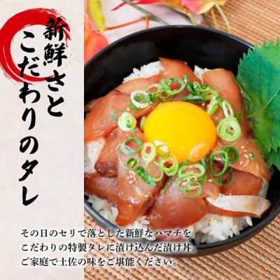 ふるさと納税 田野町 これが魚屋の漬け丼だ!〜ハマチ〜 《訳あり》 80g×5P