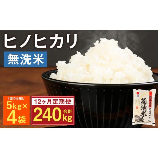 ふるさと納税 熊本県 菊池市 熊本県菊池産 ヒノヒカリ 無洗米 計240kg（5kg×4袋×12回）精米 お米 白米