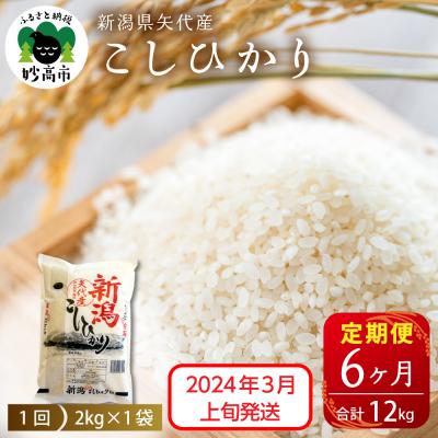 ふるさと納税 妙高市 2024年3月上旬より発送　新潟県矢代産コシヒカリ2kg×6回(計12kg)