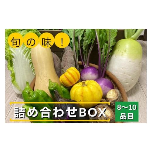 ふるさと納税 京都府 亀岡市 旬の味！お野菜 詰め合わせBOX 8〜10品目×6回（栽培期間中 農薬・化学肥料不使用）京都 亀岡 京野菜…