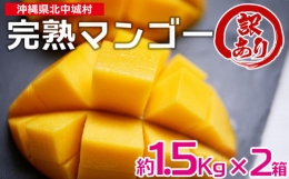 訳あり品！沖縄県北中城村　完熟マンゴー約1.5Kg×2箱沖縄 果物 訳あり フルーツ くだもの 数量限定 アップルマンゴー アーウィンマンゴー 芳醇 トロピカルフルーツ