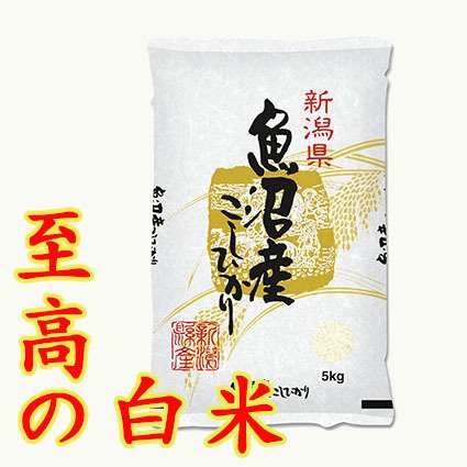 送料無料 北魚沼産こしひかり5kg 米 お米 お米5kg 白米 甘い コシヒカリ 精米 新潟 ブランド米 新潟産 新潟 こしひかり  ギフト 5キロ 5kg　北魚沼産 魚沼産